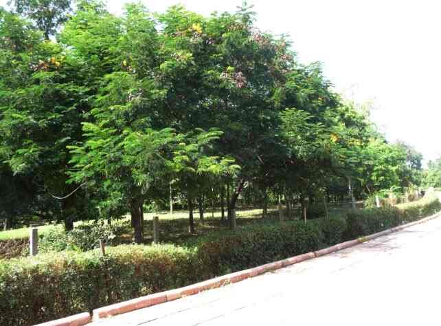 20 Top Best Tourist Destinations in Agra